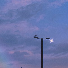 여전히 아름다운지 - 토이 (Acoustic cover)