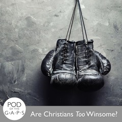 Episode 57 - Are Christians Too Winsome?