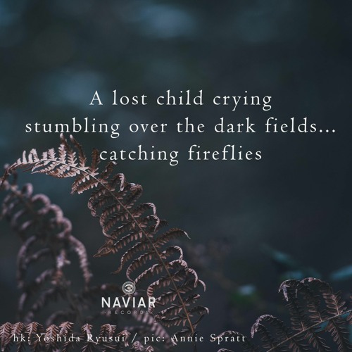 Illuminating Shapes (naviarhaiku373)