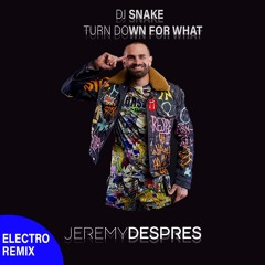 Dj Snake - Turn down for what (Jeremy Despres, Electro remix)