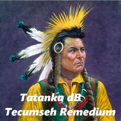 Tatanka dB - Tecumseh Remedium