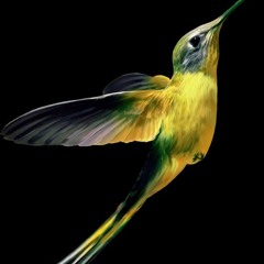Lika Bird (icymxncler)