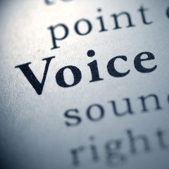 Voices In My Head - Official Song