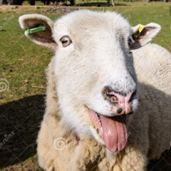 Got me- shaawnell (for fun, enjoy)