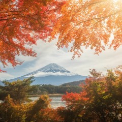 Megilat Rut (1) - What does it mean to be Tzanu'a - Rabbi Shlomo Katz