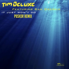 Tim Deluxe Ft Sam Obernik - It Just Wont Do (Push3r Remix)
