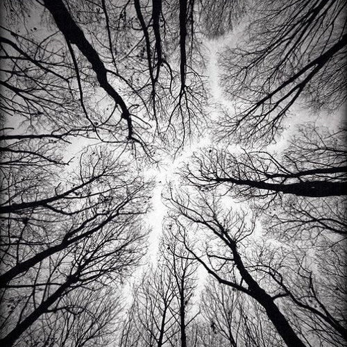 atish - [082] - february 2020 - looking up