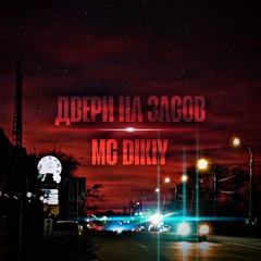 ДВЕРИ НА ЗАСОВ