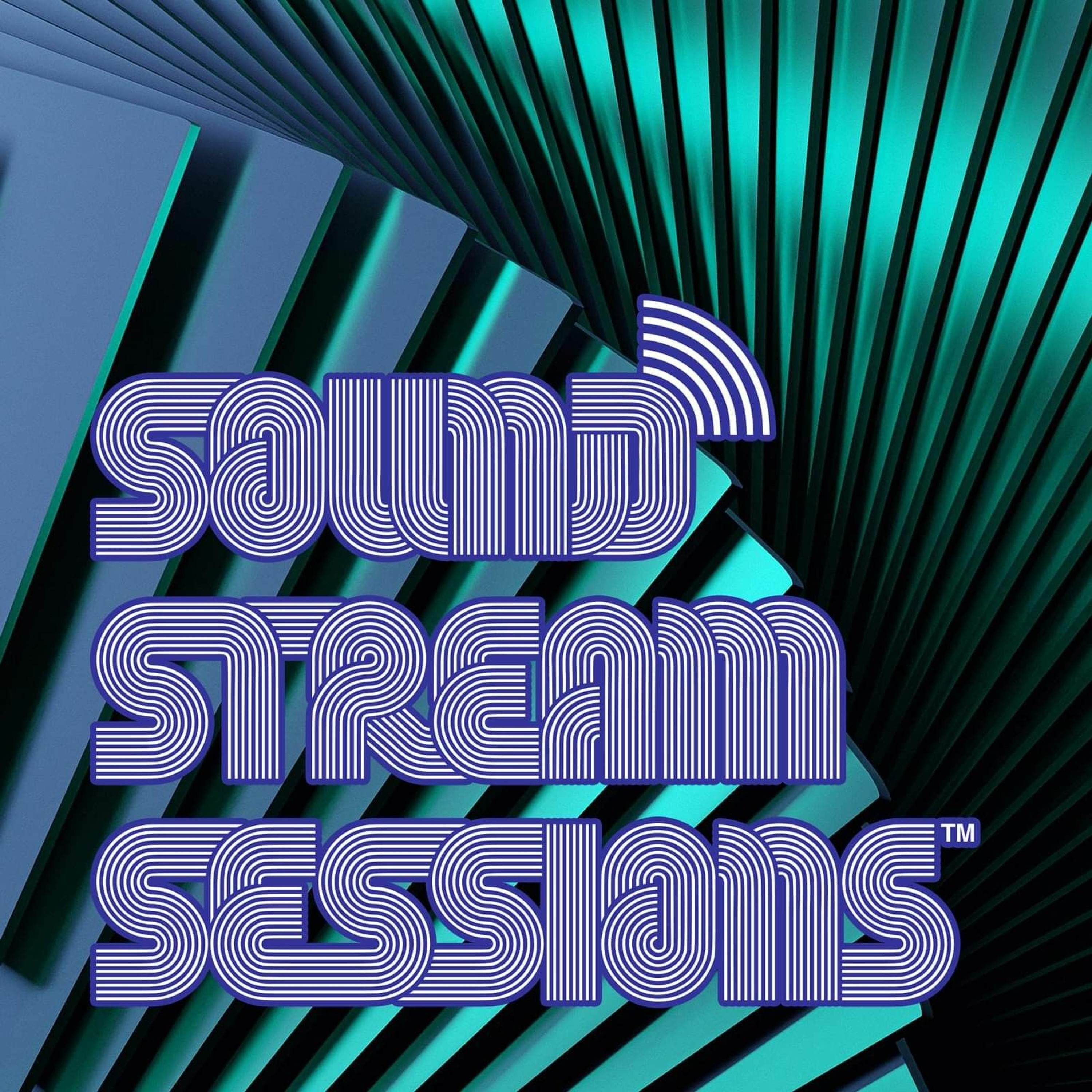 Guest Mix Vol. 94 (Diverse Pressure) Live Drum and Bass Session episode artwork