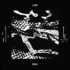 LUM - Boa (SIS Remix)