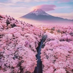 Playboi Carti + Pierre Bourne - Switchin Lanes Slowed