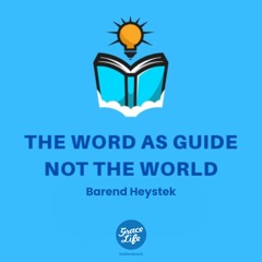 The Word As Guide Not The World - Barend Heystek (Stellenbosch)