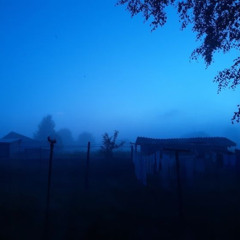 Floating in Stillness