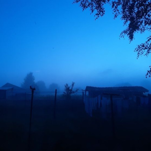 Floating in Stillness