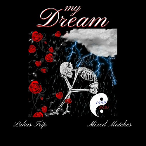 mixed matches & LUKAS TRIP - My Dream