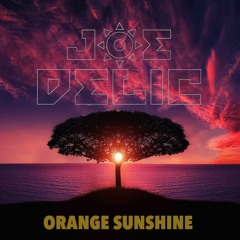 Joe Delic - Orange Sunshine