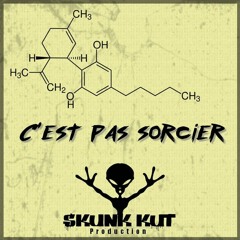 Skunk Kut - C'est Pas Sorcier ! (Monk'aZ remix)