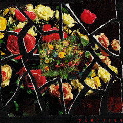 VALLEY • OF •  THE • SHADOWS