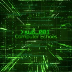 Computer Echoes