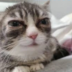 ненавижу всё