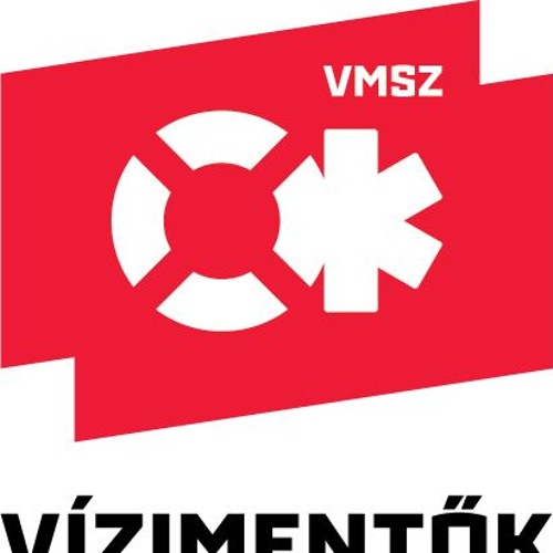 VMSZ Mix - 2024