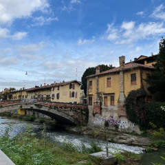 Fiume Bacchiglione 1100