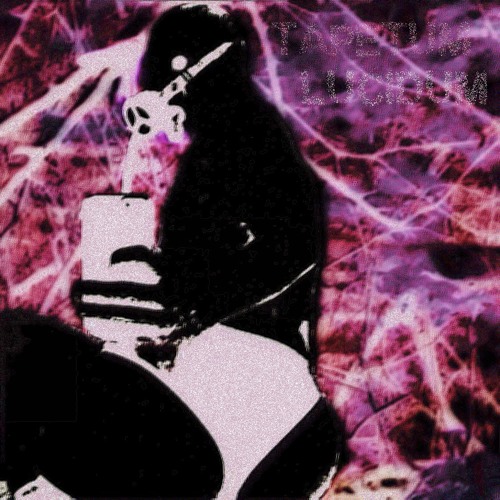 TAPETUM LUCIDUM ep02 ⏤ KTAR6