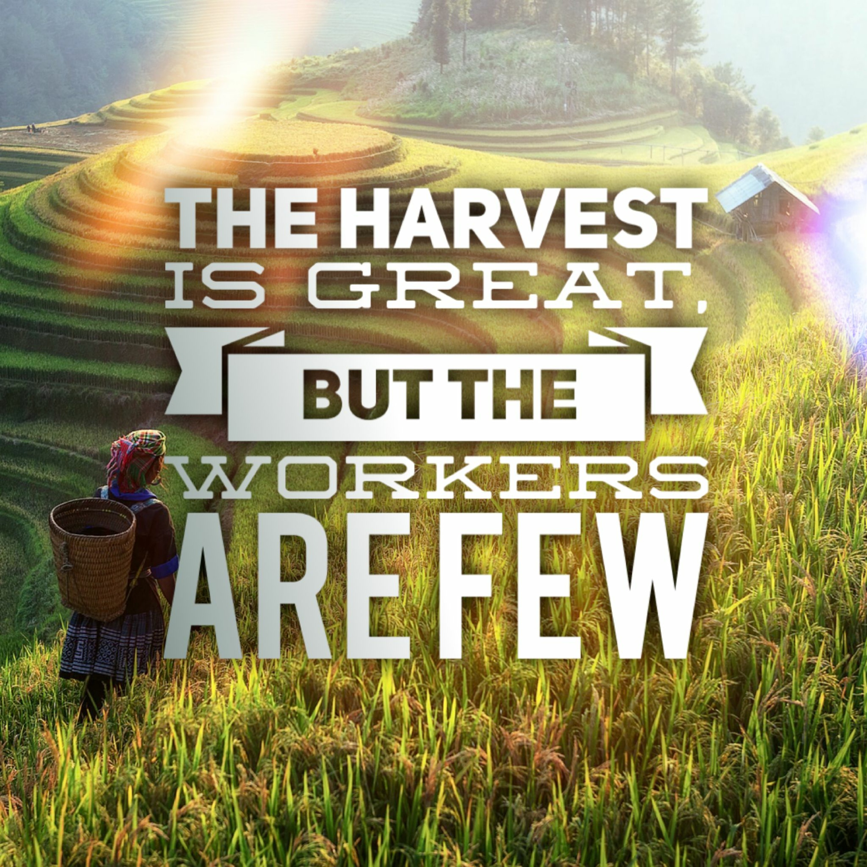 3/27/22 - The Harvest Is Great But The Workers Are Few episode artwork