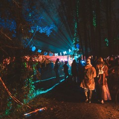 Whispers Through the Mist - 2024