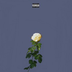 perfect ft. naomi rose (prod. rrarebear) OUT ON APPLE AND SPOTIFY!