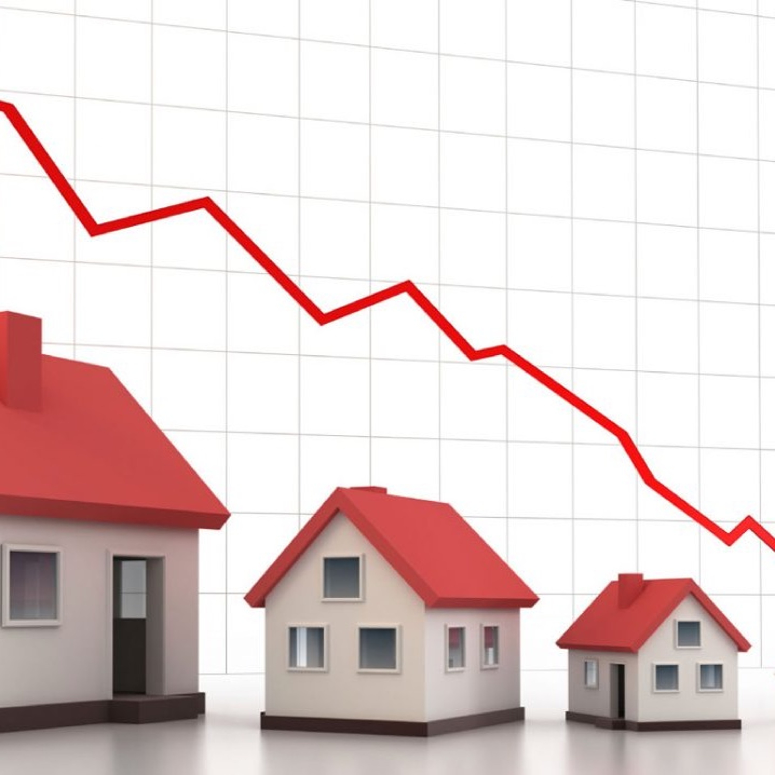 immobilier-company