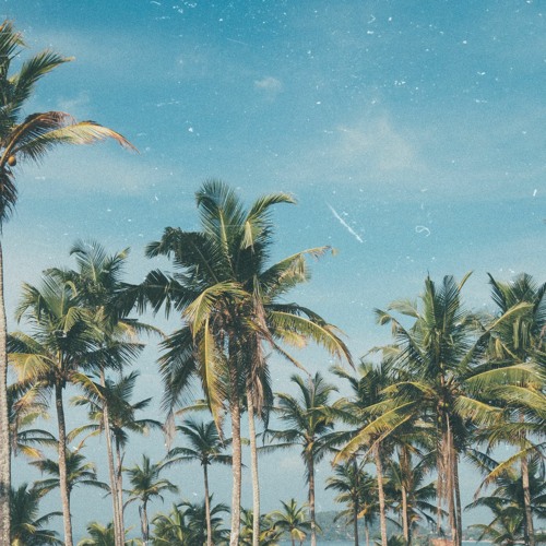 Palmas