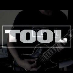Tool - Hooker with a penis [Extended version] Guitar Cover
