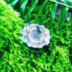 digivice