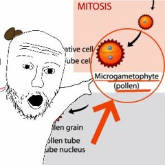Me When Someone Says Pollen Is The Male Gamete
