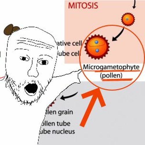 Me When Someone Says Pollen Is The Male Gamete
