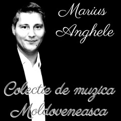 5 Bani 10 Bani 15 Bani 25 De Bani