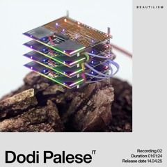Beautilism Recording with Dodi Palese - 14.04.25