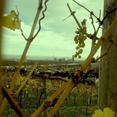 Alma Mahler-Werfel - Die stille Stadt