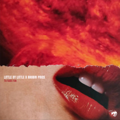 Little by Little & Rhodri Price - That Sort of Thing