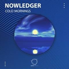 Nowledger - Cold Mornings (LIZPLAY RECORDS)