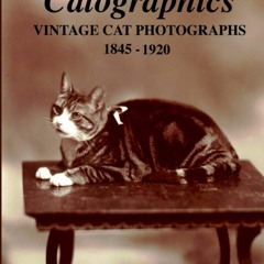 [⚡PDF] ⚡DOWNLOAD  Catographics: Vintage Cat Photographs, 1845-1920