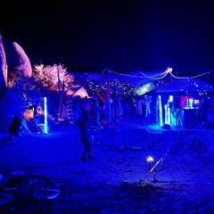 Boulder Gardens 2022 - Night
