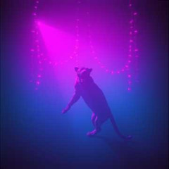 Queen of the Disco