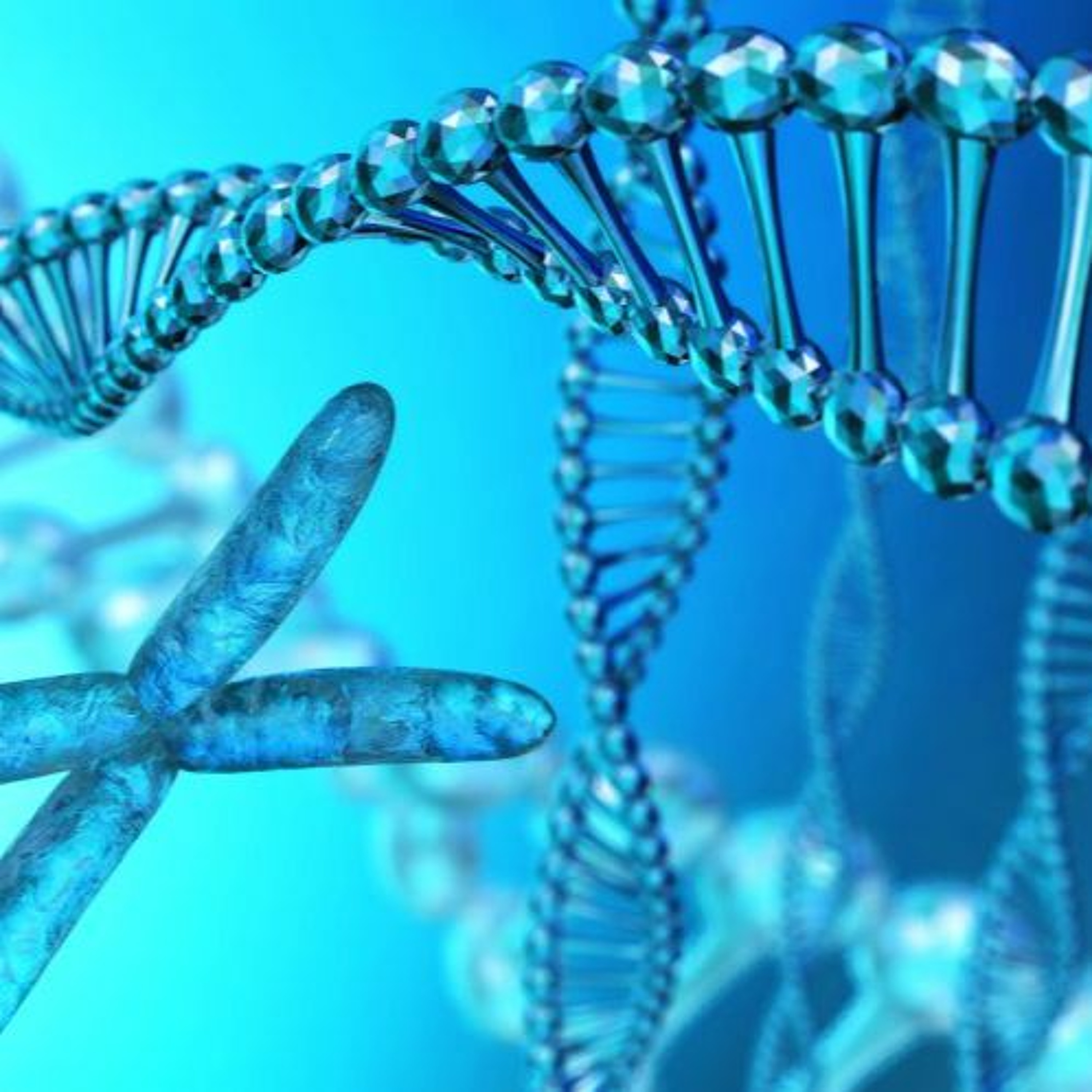 Transparent Transparent