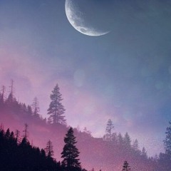 Acid Dream