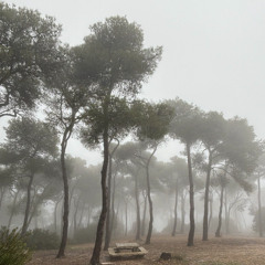 Sally Hell x Klukva - шепот мыслей