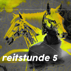 Reitstunde 5