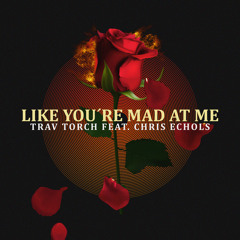Like You're Mad At Me (feat. Chris Echols)