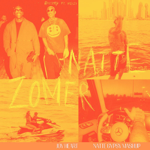 Bizzey - Natte Gypsy (Joy Heart Mashup)